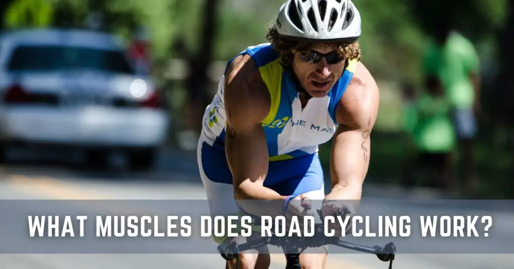 What Muscles Does Road Cycling Work